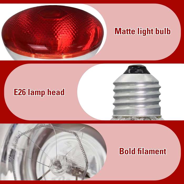 Infared 250-Watt Pok Heat Lights -Pack of 4