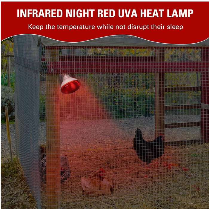 Infared 250-Watt Pok Heat Lights -Pack of 4