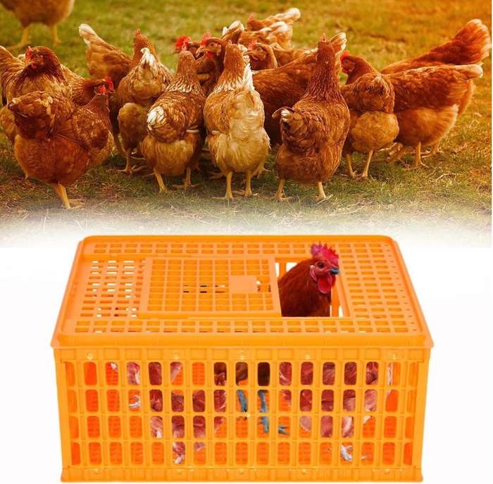 Yellow Crate-Chicken Transport Crate -Large