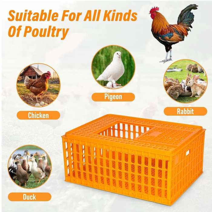 Yellow Crate-Chicken Transport Crate -Large