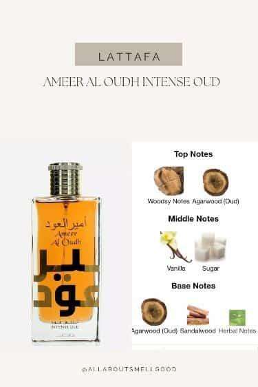 AMEER AL OUD - 100ML