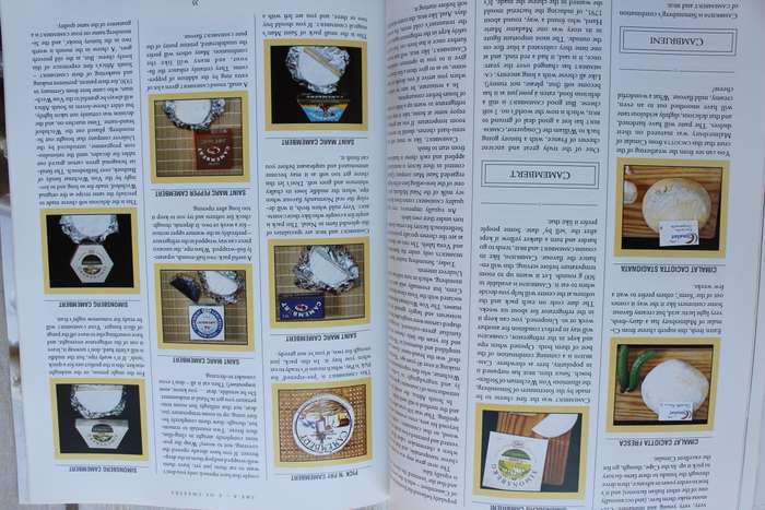 The Complete book of South African Cheeses - Richfield