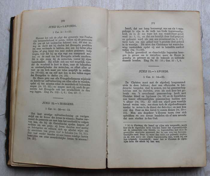 1880 Bijbelsch Dagboek - Du Toit / Paarl