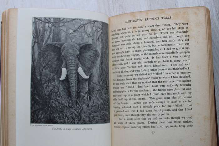 The Wonderland of Big Game - Dugmore