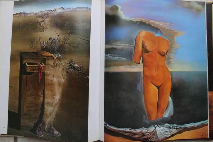 Dali - by Ramon Gomez de la Serna