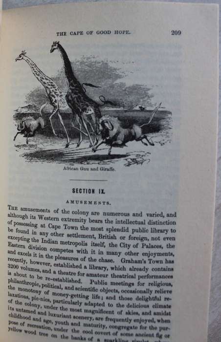 The Cape of Good Hope and the Eastern Province of Algoa Bay / John Centlivres Chase