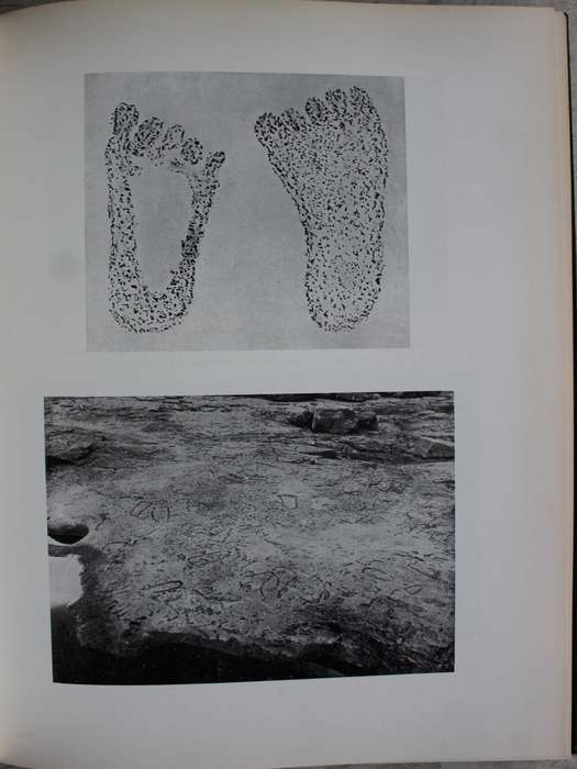THE ROCK ENGRAVINGS OF GRIQUALAND AND BECHUANALAND South Africa  - MARIA WILMAN