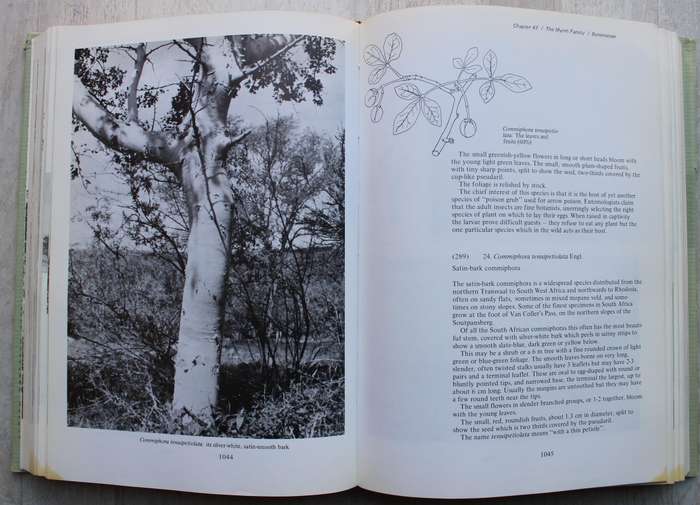 THREE VOLUME: TREES OF SOUTHERN AFRICA by Eve Palmer and Norah Pitman