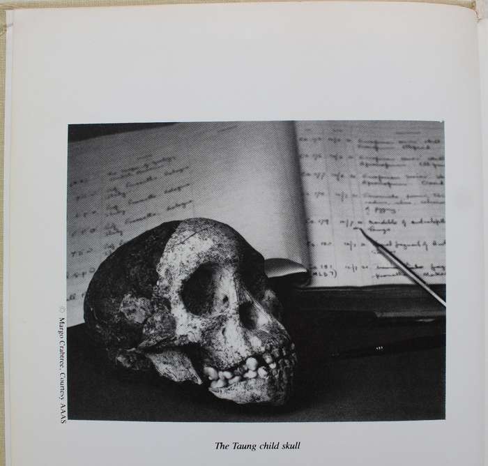 SIGNED: Homonid Evolution - Past, Present & Future / Phillip Tobias