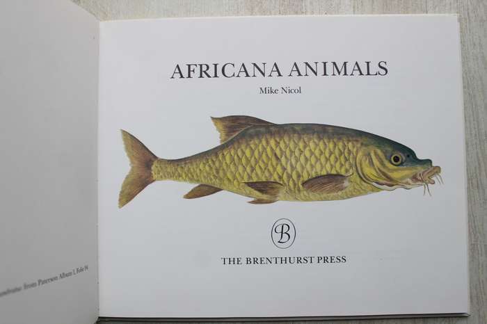 Africana Animals - Nicol