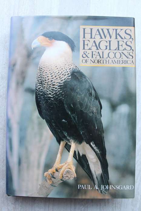 Hawks, Eagles and Falcons of North America - Johnsgard