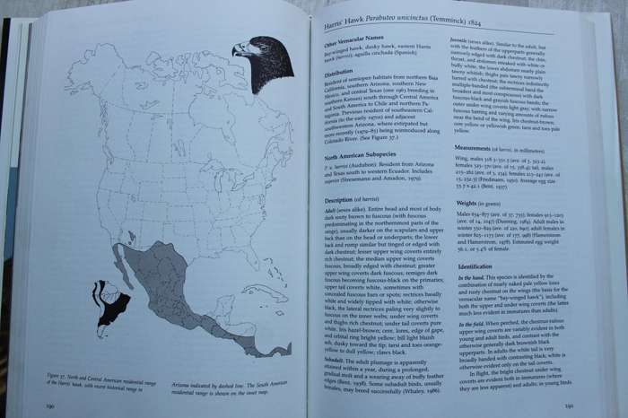 Hawks, Eagles and Falcons of North America - Johnsgard