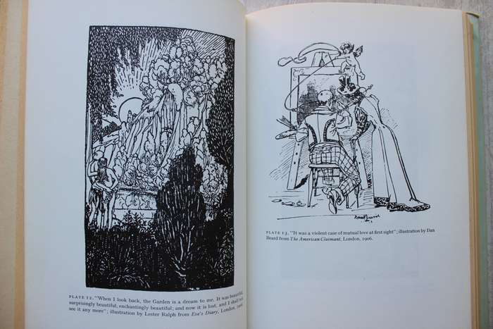 The Illustrated Mark Twain - Gasson