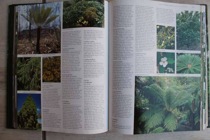 The Ultimate Book of Trees and Shrubs - Kristo Pienaar