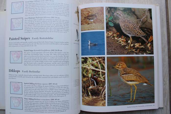 Southern African Birds ~ A Photographic Guide by Ian Sinclair & Ian Davidson