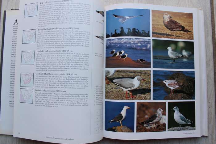Southern African Birds ~ A Photographic Guide by Ian Sinclair & Ian Davidson