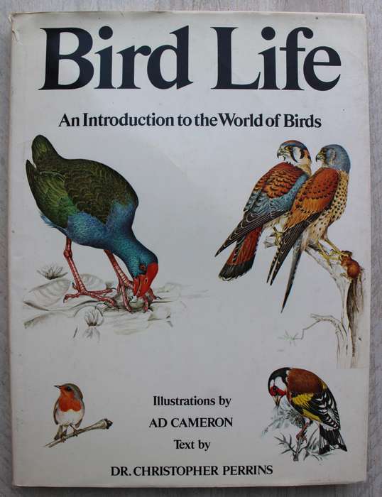 Bird Life - An introduction to the world of birds / Cameron & Perrins