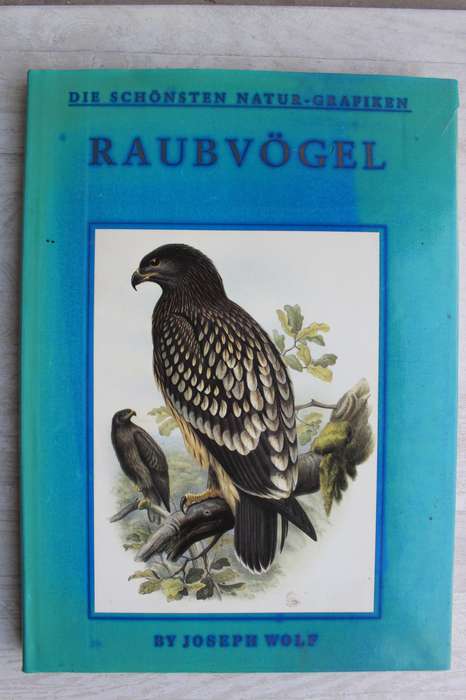 Raubvogel - Joseph Wolf / Die schonsten Natur-Grafiken