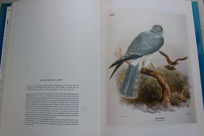Raubvogel - Joseph Wolf / Die schonsten Natur-Grafiken