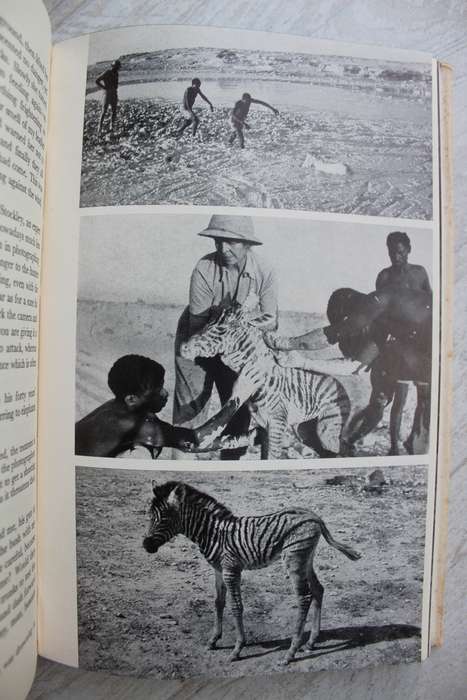 Animal safari - Lutz Heck