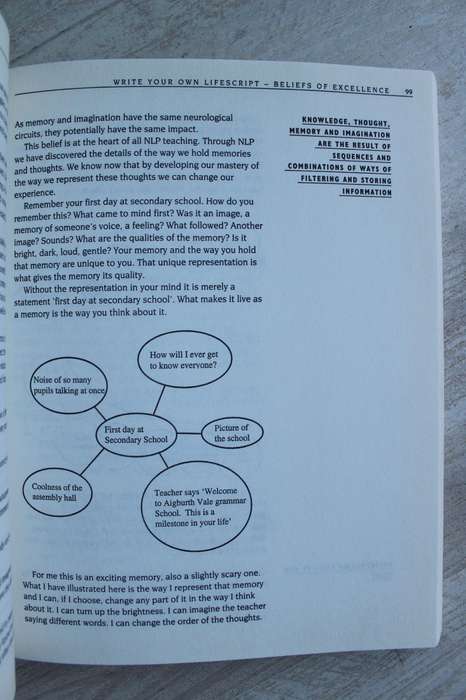 NLP at Work: Neuro Linguistic Programming, The Difference That Makes a Difference in Business
