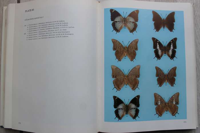 Pennington's Butterflies of Southern Africa - C G C Dickson and D M Kroon