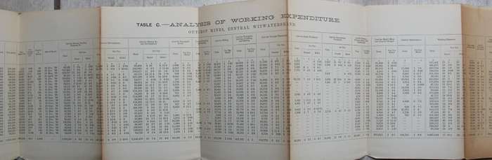 The Gold Mines of the Witwatersrand and the determination of their value / Kessler