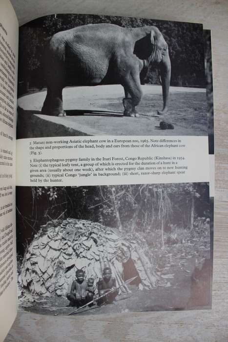 The Natural History of the African Elephant . Sylvia Sikes