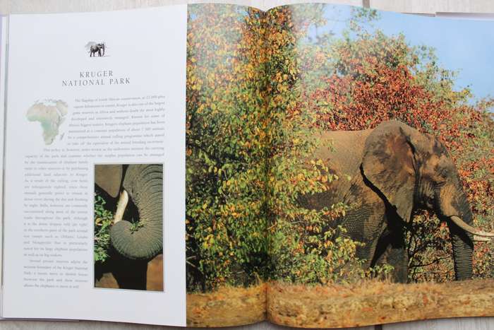 African Elephants - Daryl and Sharna Balfour