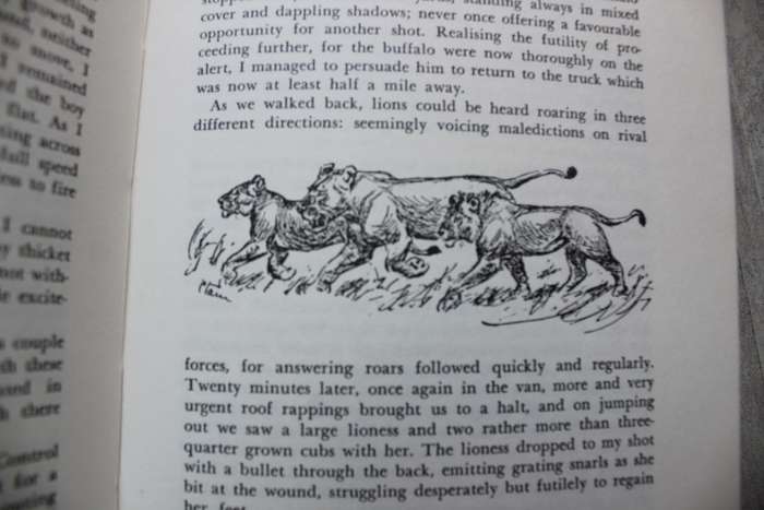 OKAVANGO ADVENTURE Memoirs of a Game Ranger CRONJE WILMOT ( Includes hunting and wildlife)