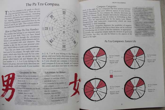The Feng Shui Workbook - Xing