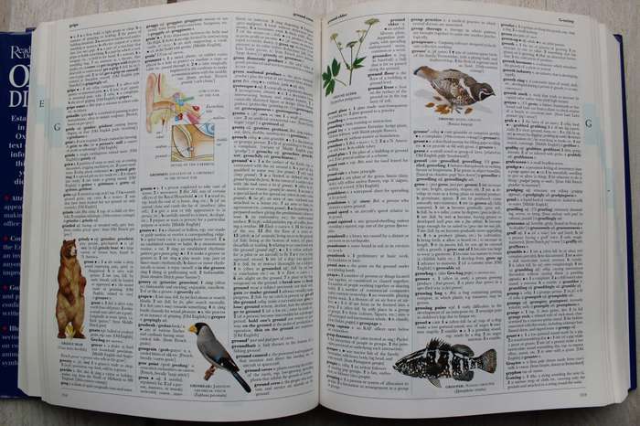 Reader's Digest Illustrated Oxford Dictionary