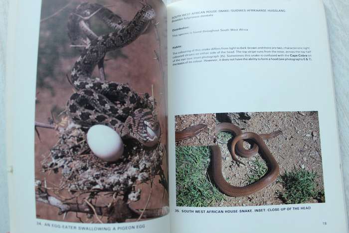 Snakes of South West Africa - Buys