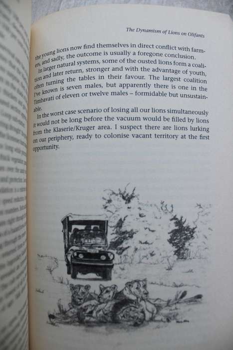 Man-eaters Mambas and Marula Madness A Game Ranger's life in the Lowveld-  Mario Cesare