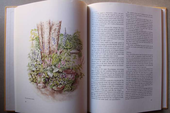 Onder die Olien `n Tuin vir Plesier - Eve Palmer