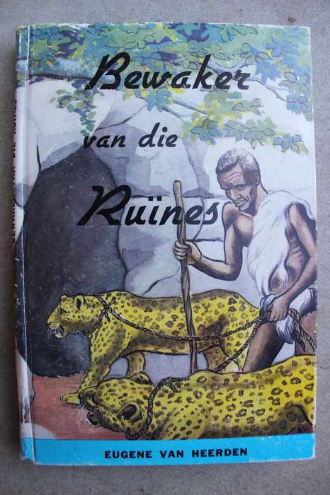 Bewaker van die ruines - Eugene van Heerden