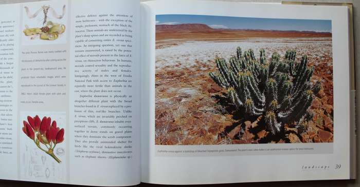 Heat, Dust and Dreams : An exploration of People and Environment in Namibia