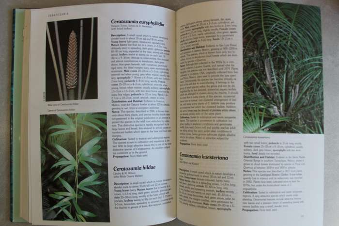 Cycads of the World - Jones / Ancient Plants in Today's Landscape