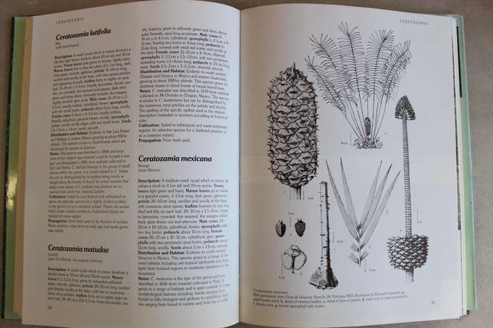 Cycads of the World - Jones / Ancient Plants in Today's Landscape