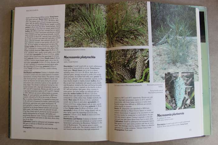 Cycads of the World - Jones / Ancient Plants in Today's Landscape