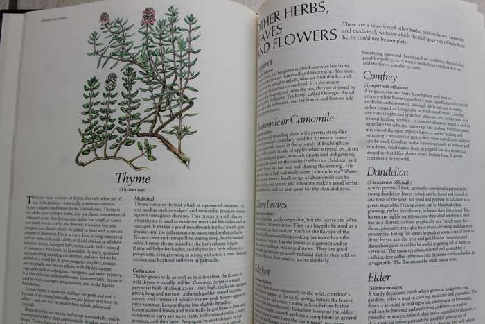 Complete guide to Herbs - Fleming