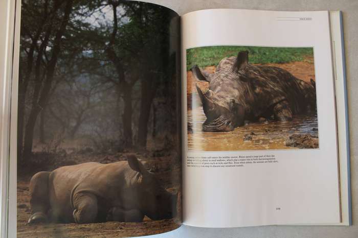RHINO - The story of the Rhinoceros and a plea for its conservation / Balfour