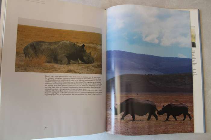 RHINO - The story of the Rhinoceros and a plea for its conservation / Balfour