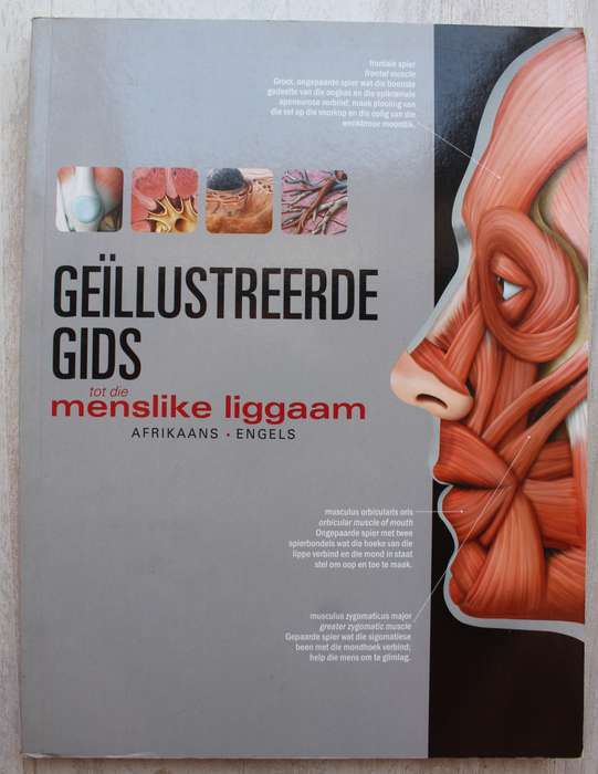 Geillustreerde gids tot die menslike liggaam / Afrikaans-Engels