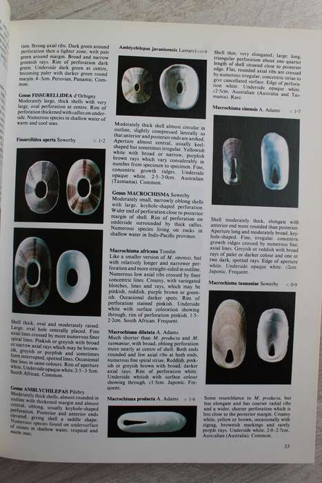 The Collectors Encyclopedia of Shells / Peter Dance