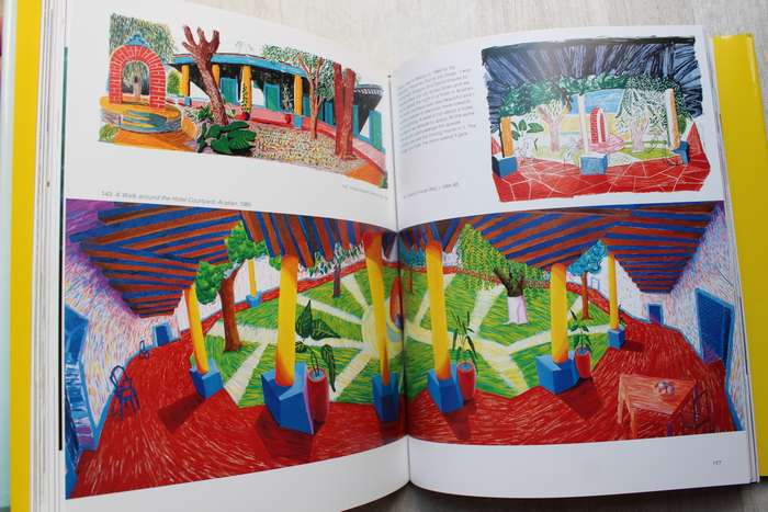 David Hockney - That's the way I see it