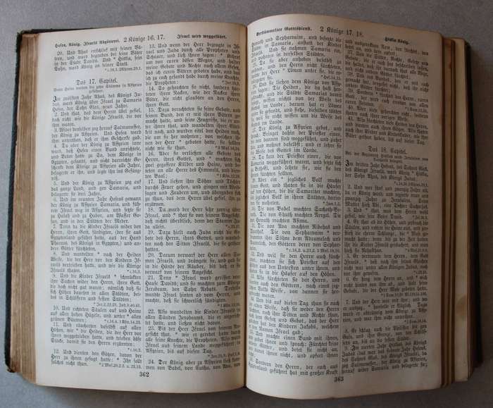 1890 - Die Bibel oder die ganze Heilige Schrift / Bible / Bybel
