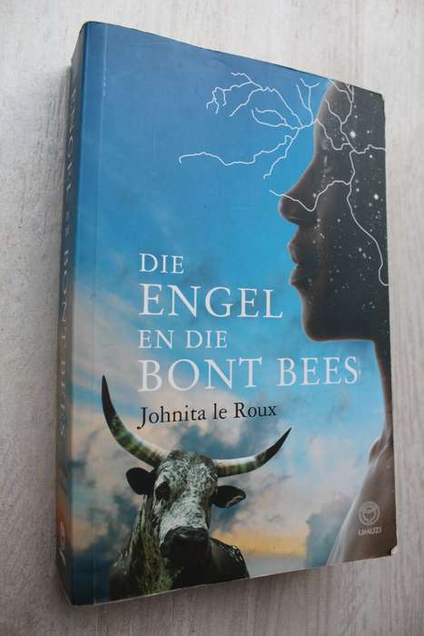 Die engel en die bont bees - Johnita le Roux