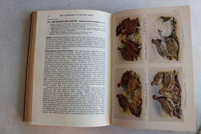 The Handbook of British Birds - Witherbt, Tucker & Ticehurst