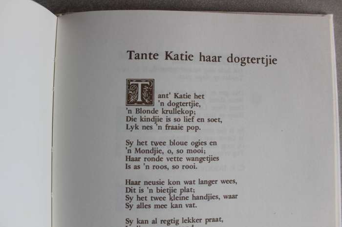 Eerste Stemme - P.J. Nienaber